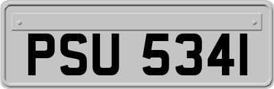 PSU5341