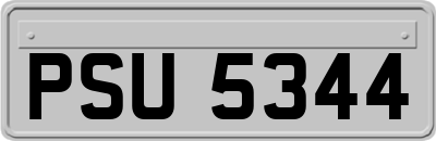 PSU5344
