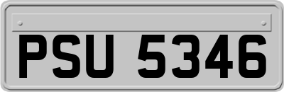 PSU5346