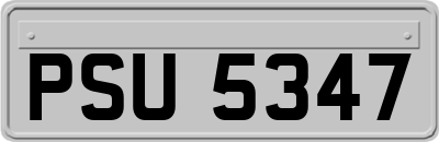 PSU5347