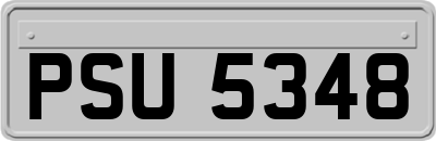 PSU5348