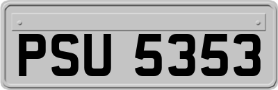 PSU5353