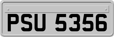 PSU5356