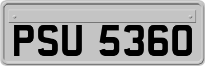 PSU5360