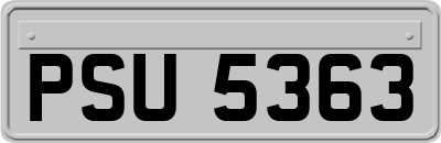 PSU5363