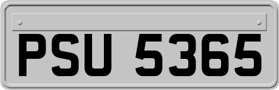 PSU5365