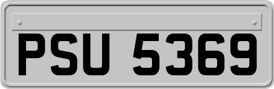 PSU5369