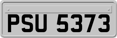 PSU5373