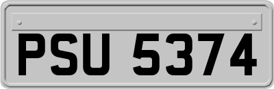 PSU5374