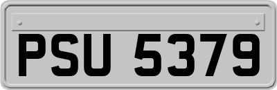 PSU5379