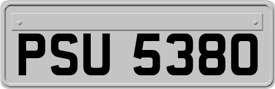 PSU5380