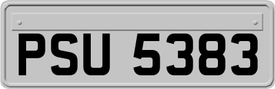 PSU5383