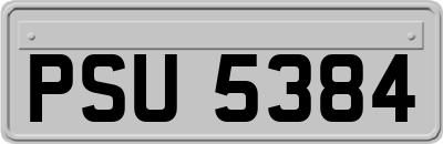 PSU5384