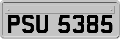PSU5385
