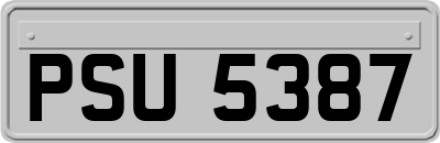 PSU5387