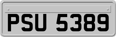 PSU5389