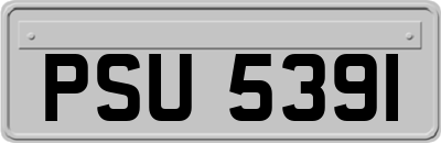 PSU5391
