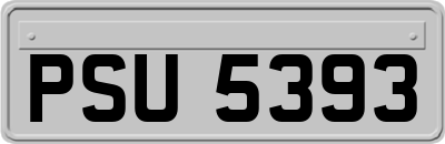 PSU5393