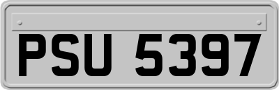 PSU5397