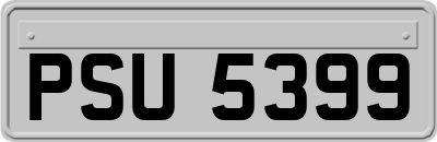PSU5399