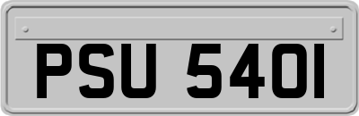 PSU5401
