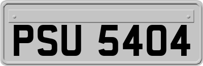 PSU5404