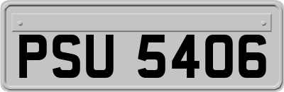 PSU5406