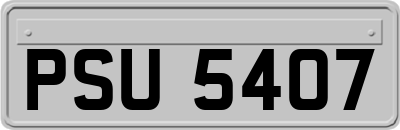 PSU5407