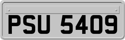 PSU5409