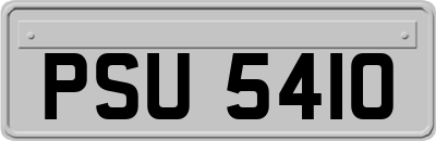 PSU5410
