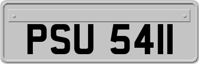 PSU5411
