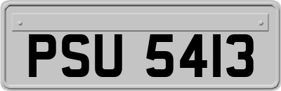 PSU5413
