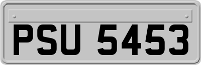 PSU5453