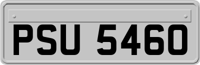 PSU5460