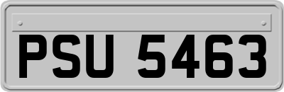 PSU5463