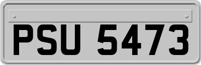 PSU5473