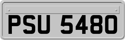 PSU5480