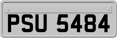 PSU5484