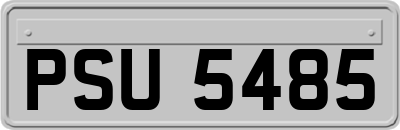 PSU5485
