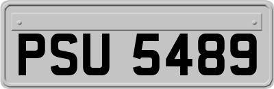 PSU5489