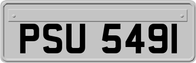 PSU5491