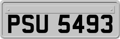 PSU5493