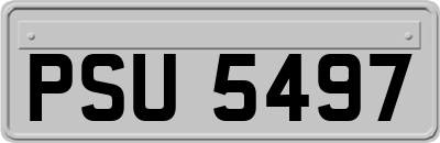 PSU5497
