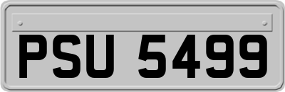 PSU5499