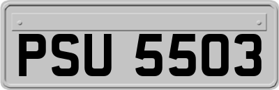 PSU5503