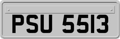 PSU5513