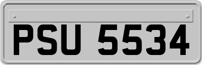 PSU5534