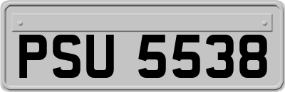PSU5538