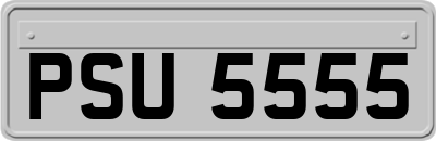PSU5555