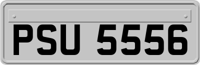 PSU5556